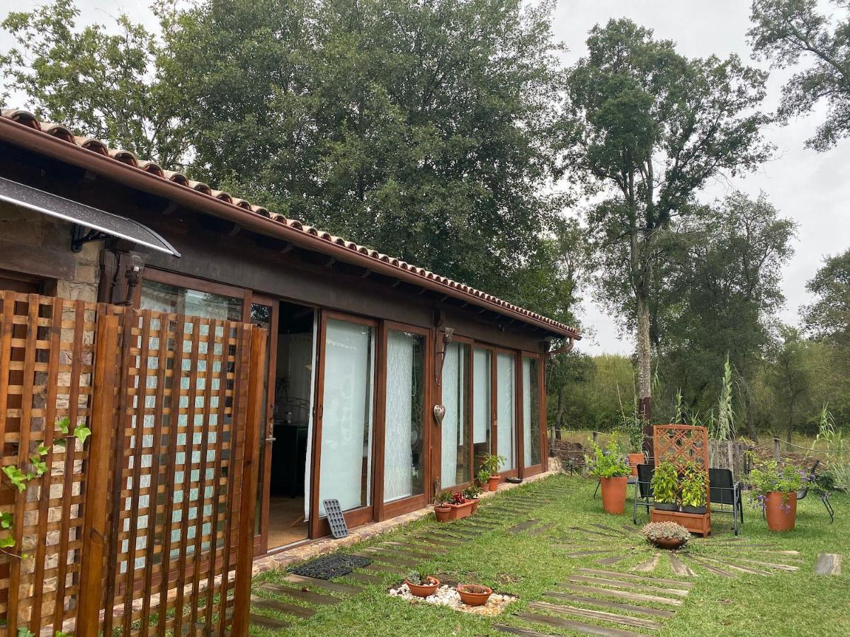Ferienwohnung The Old Watermill Retreat - O Retiro Da Azenha Velha Vila Nova de Poiares Exterior foto